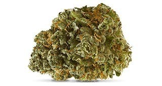 Robust Guwop Green #14 Deli Flower 1