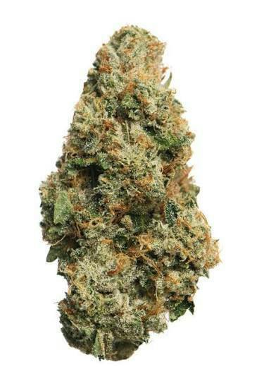 Proper Louis XIII Deli Flower 1