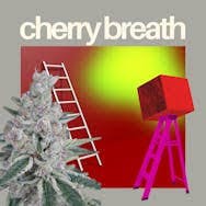 C4 Cherry Breath Pre-roll