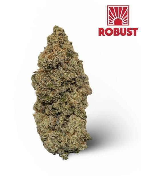Robust Reserve Apples & Bananas #7 Flower
