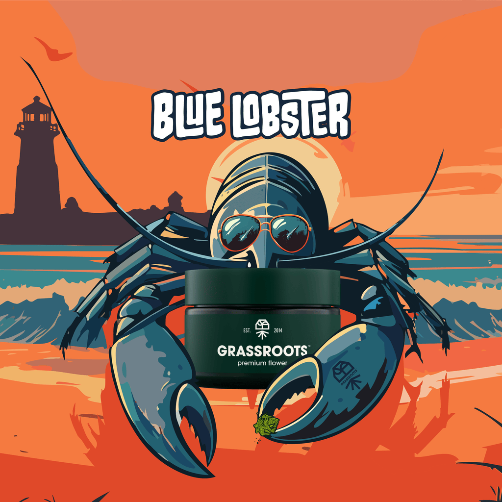 Grassroots Blue Lobster Smalls 14g