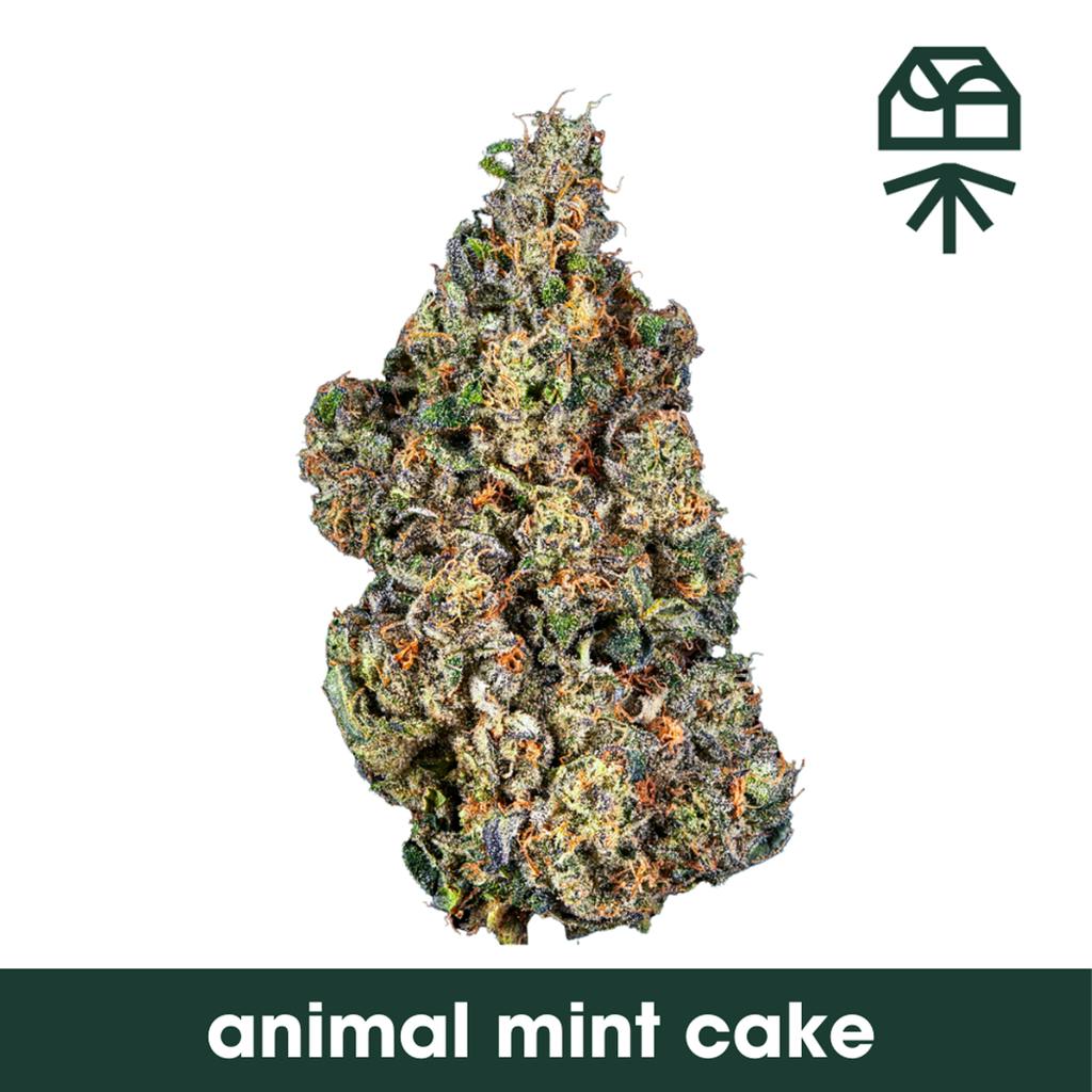 Grassroots Animal Mint Cake Whole Flower 14g