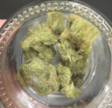 Missouri Wild Alchemy O'fallon, Missouri Marijuana Dispensary