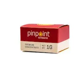 Pinpoint Extracts - 1g Live Badder - Mimosa