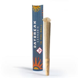 Daybreak Cannabis - 1g Pre-Roll - Ghost Train Haze