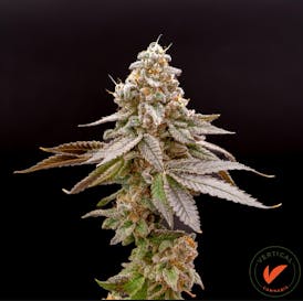Vertical - 7g Flower Smalls - LA Kush Cake