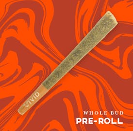 Vivid - 1g Pre-Roll - Grease Monkey