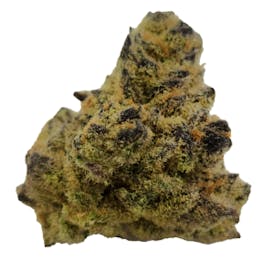 Gold Rush - 7g Flower - Raspberry Diesel