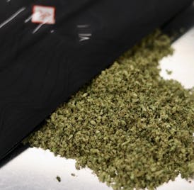 VIBE Cannabis - 28g Shake/Trim - GG #4