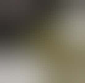 VIBE Cannabis - 28g Shake/Trim - GG #4