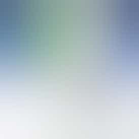 C4 - 14g Shake/Trim - Apples & Bananas (Hybrid)