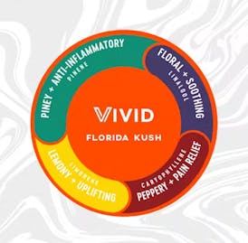 Vivid - 3.5g Flower - Florida Kush