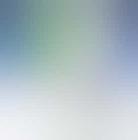 C4 - 14g Shake/Trim - Tropical Chem (Sativa)