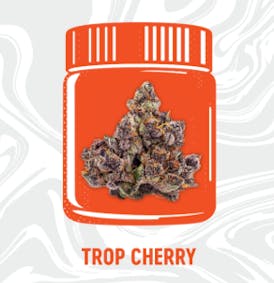 Vivid - 3.5g Flower - Trop Cherry
