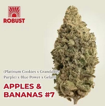 Robust - 3.5g Flower - Apples & Bananas #7
