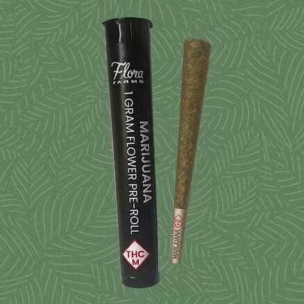 Flora - 1g Pre-Roll - College Park