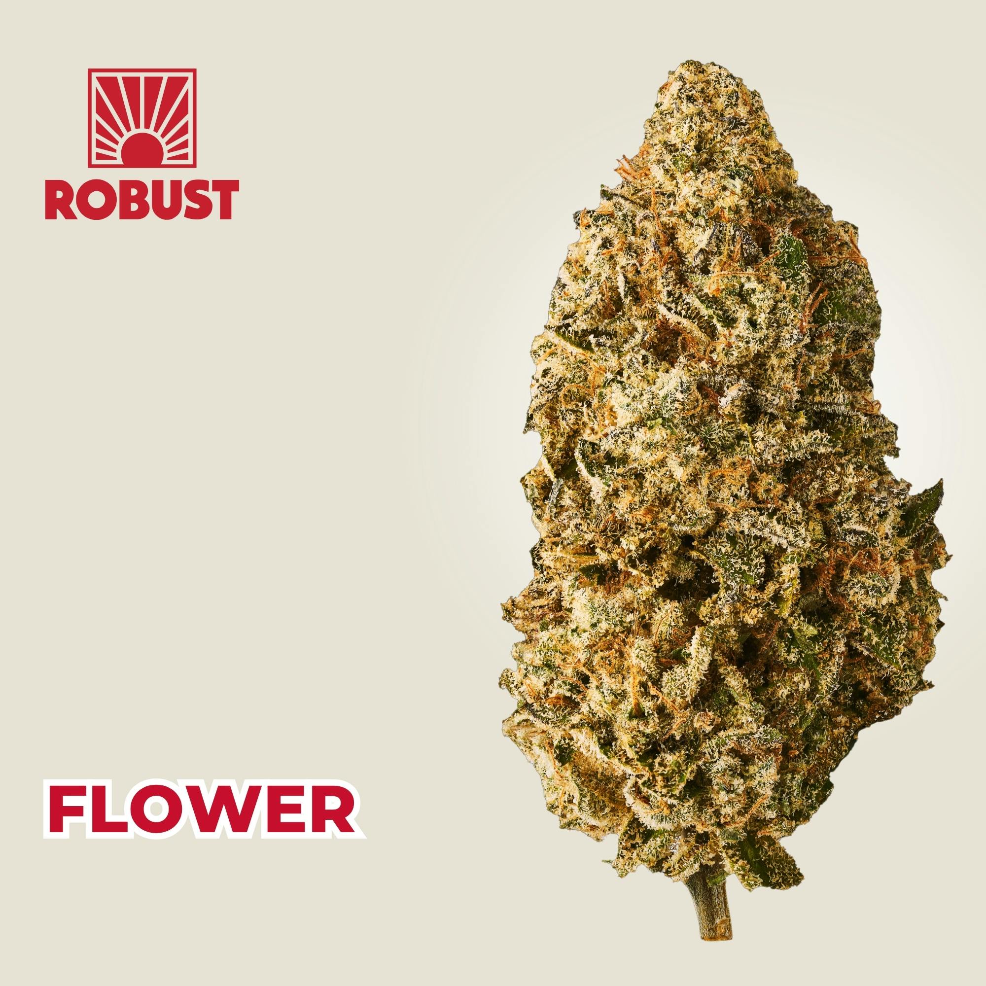 Robust - 3.5g Flower - Guwop Green #14