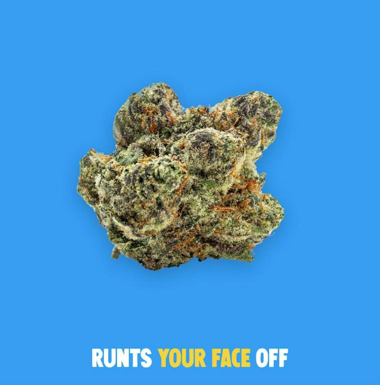 Runtz Your Face Off | Deli