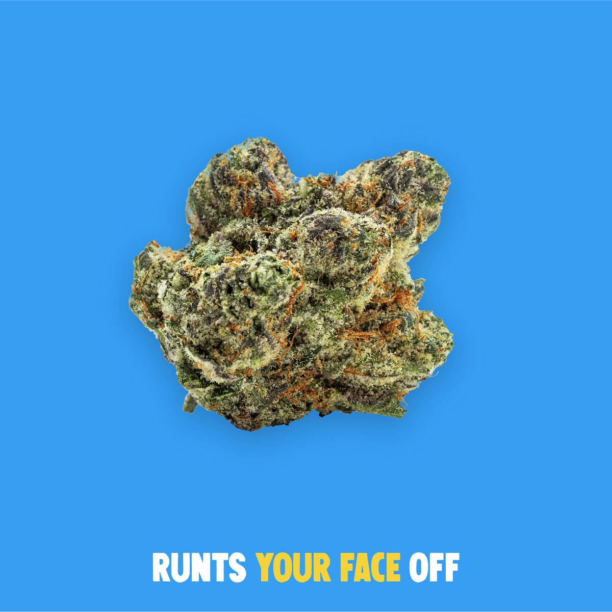 Runtz Your Face Off | Deli Popcorn at High Profile of West Plains Dispensary