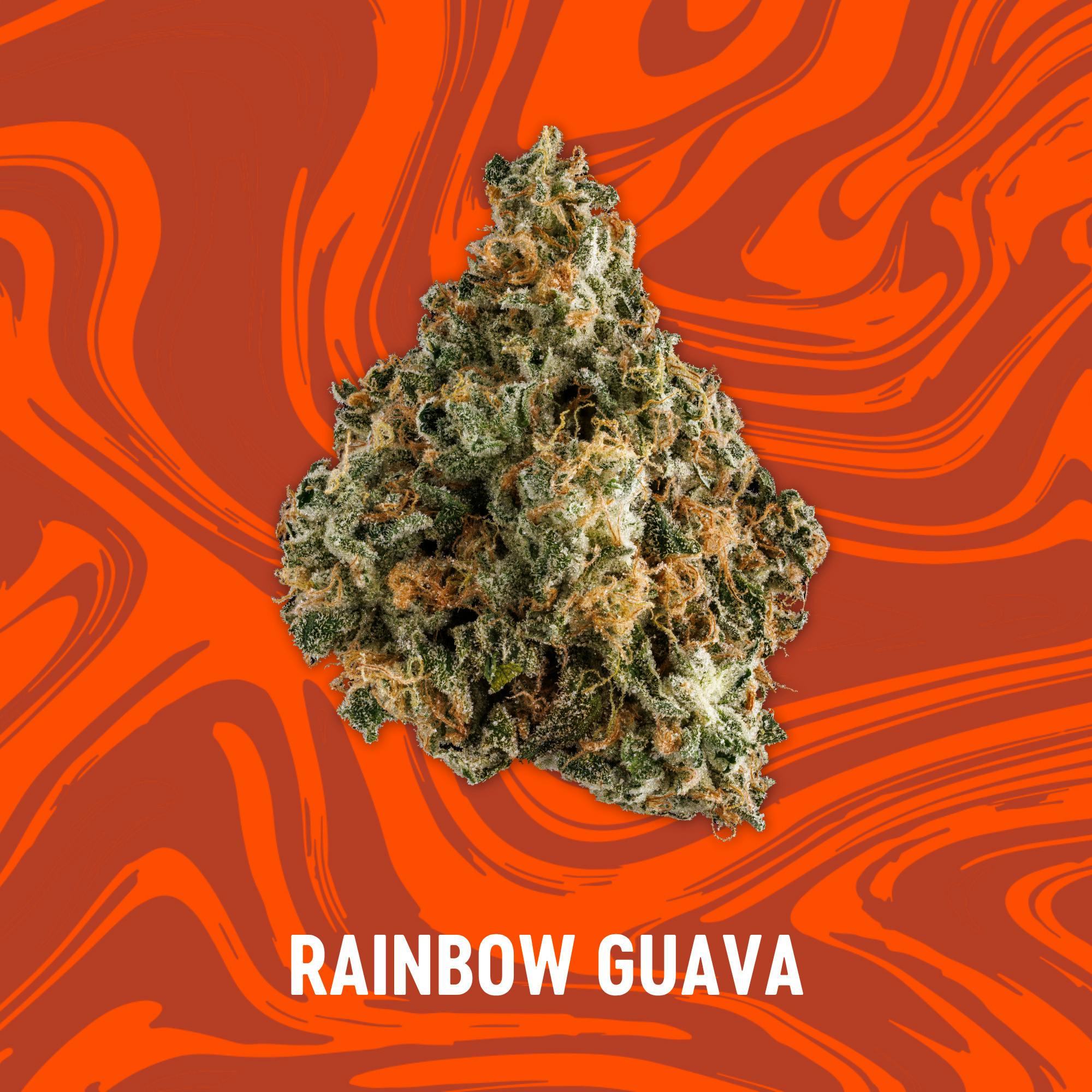 Rainbow Guava | Deli
