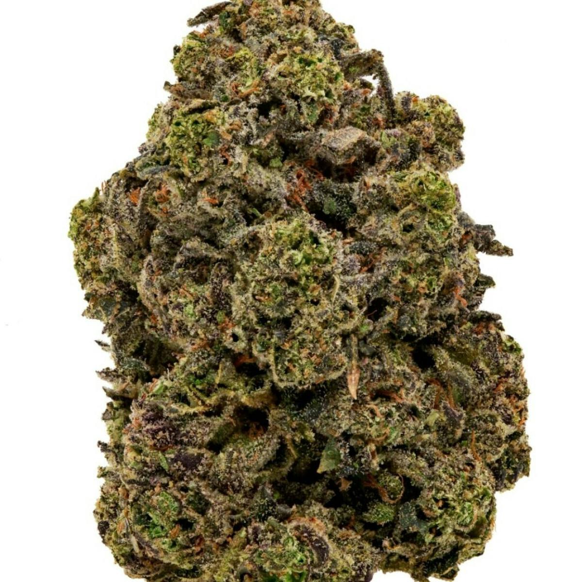 7G HONEYCOMB PAVE POPCORN
