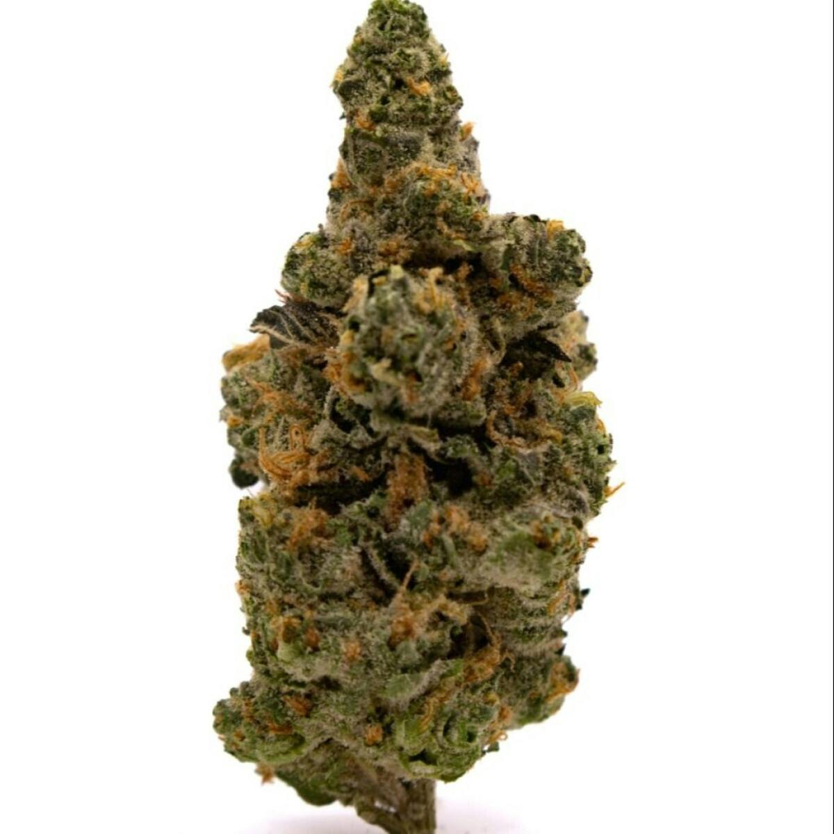 3.5G SLURRICANE TIER 2 FLOWER at SWADE Dispensary Warrensburg