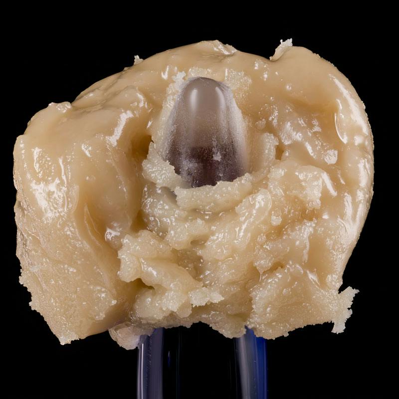 Oni - Live Rosin - 2g