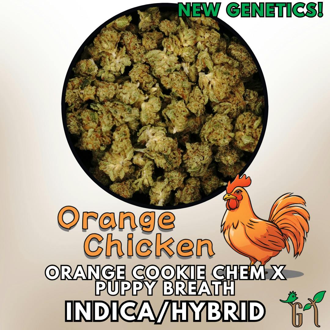 Flower - Orange Chicken - Special Tier (Bldr)
