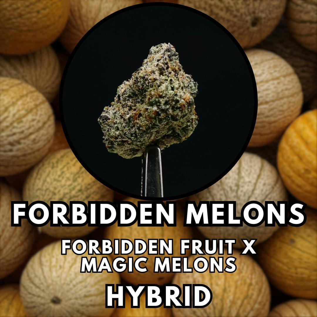 Flower - Forbidden Melons - Tier 2