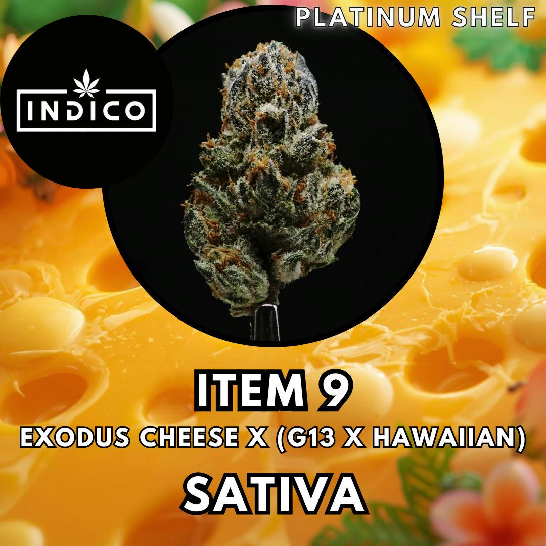 Flower - Indico - Item 9 - Platinum Shelf