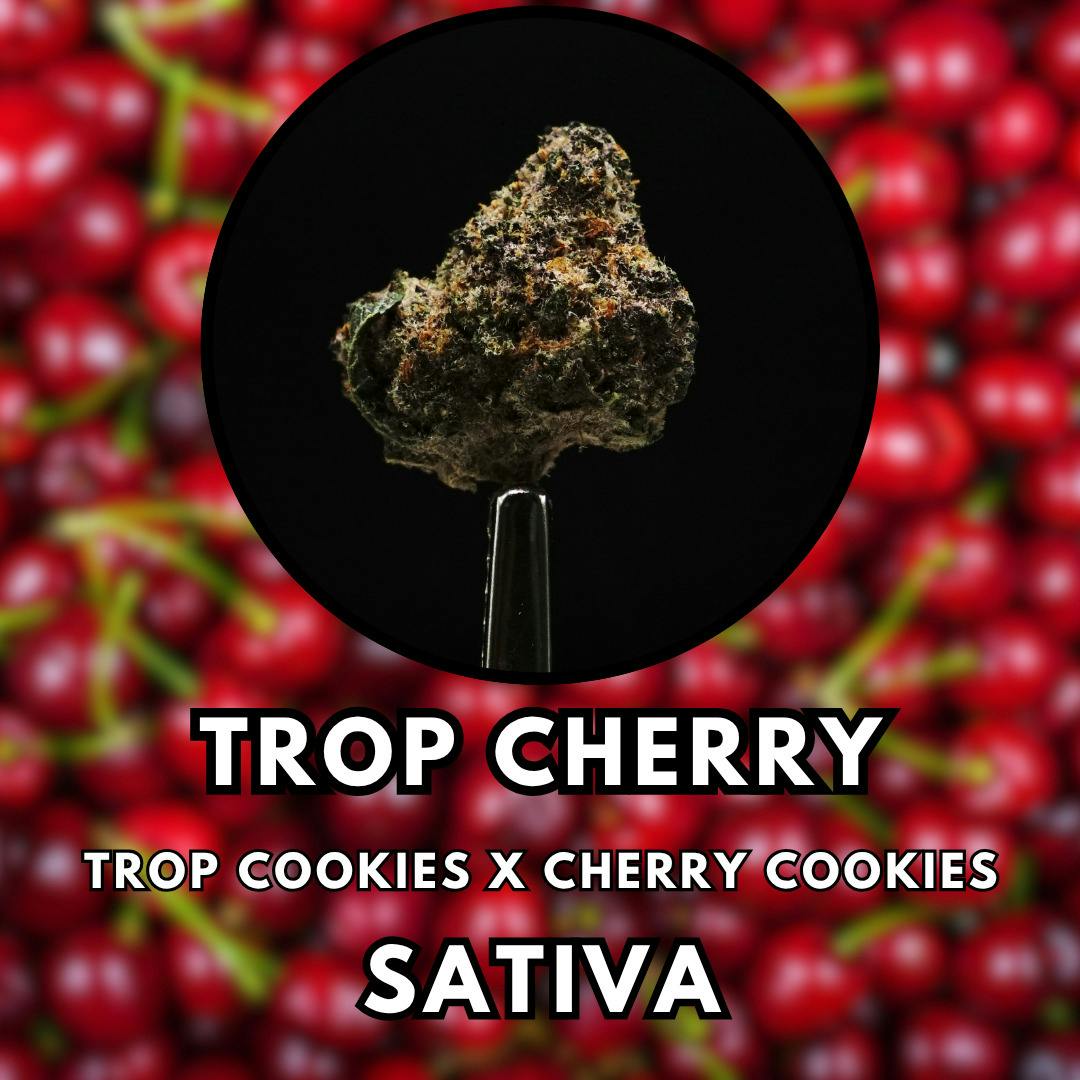 Flower - Trop Cherry - Tier 2