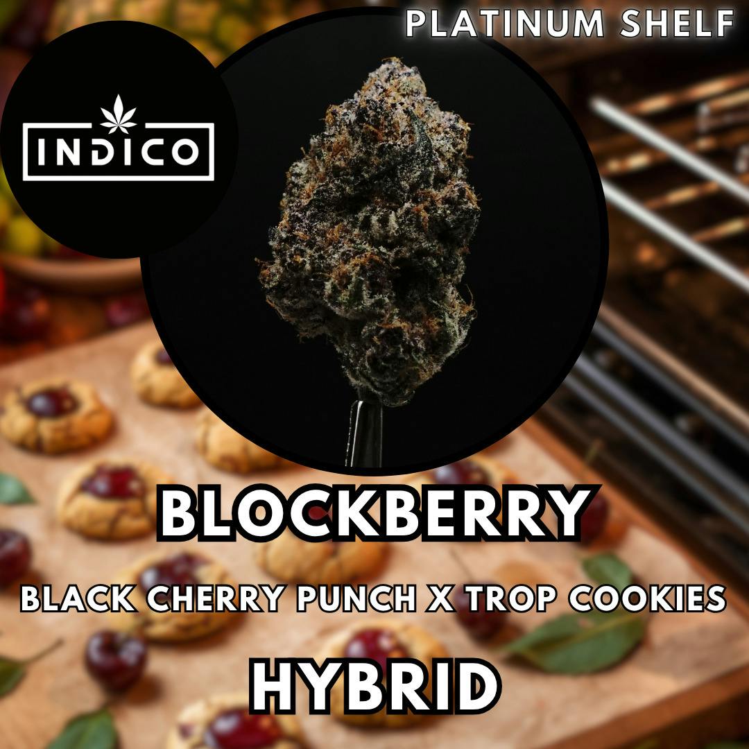 Flower - Indico - Blockberry - Platinum Shelf
