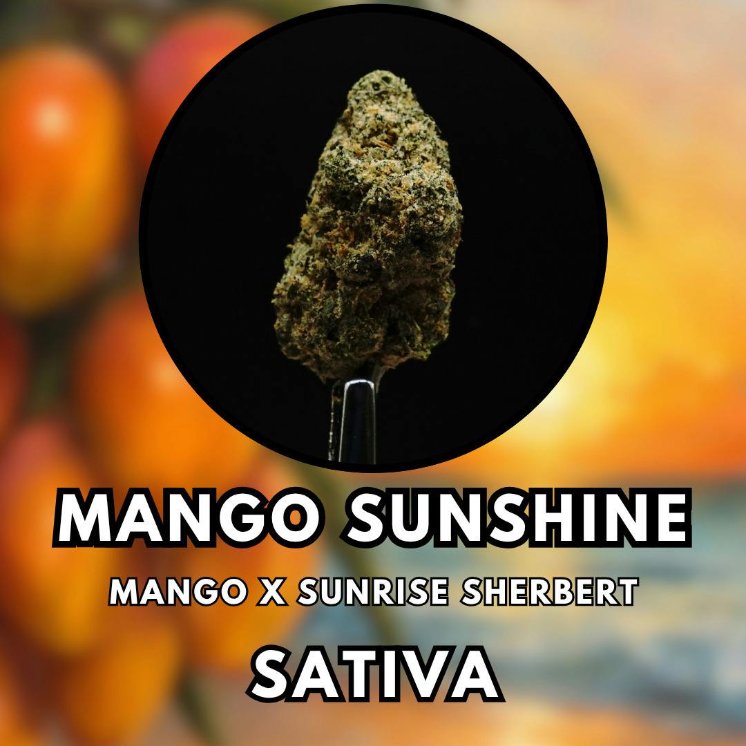 Flower - Mango Sunshine - Top Shelf