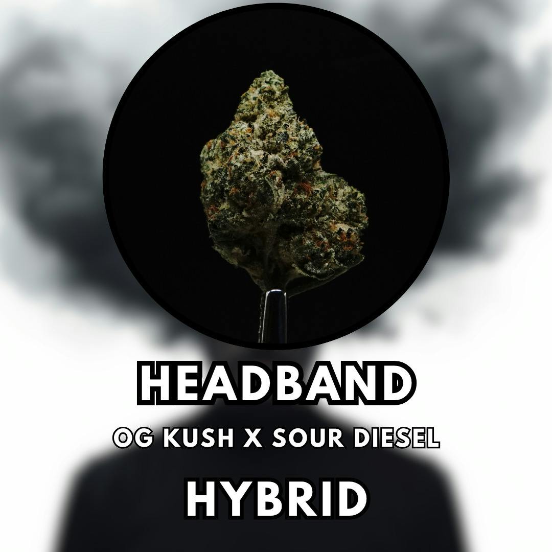 Flower - Headband - Tier 2