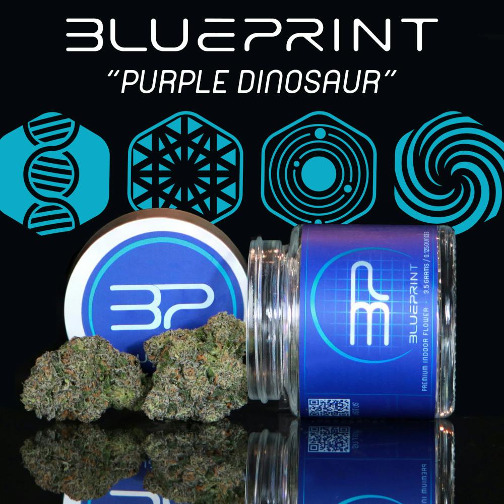 Purple Dino