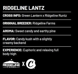 Ridgeline Lantz - Live Rosin