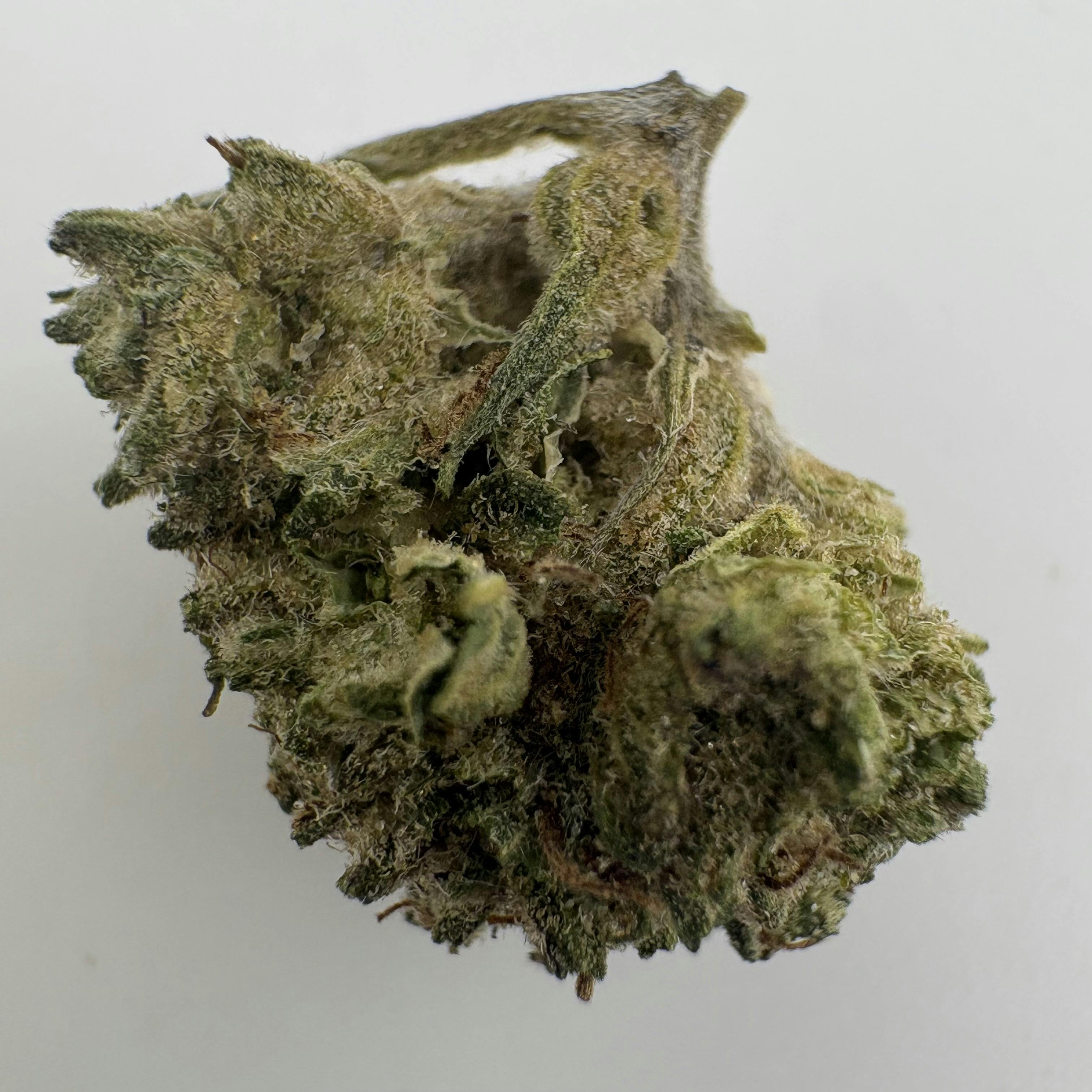 Pure Michigan | Indica | Discount Flower at Purple Co.