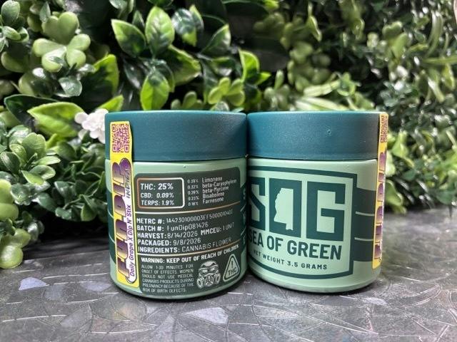 Fun Dip | 3.5g | SOG
