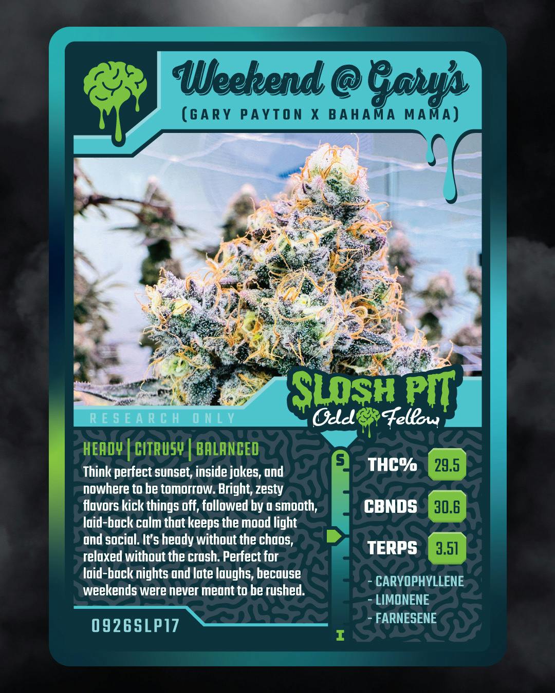 Weekend @ Gary's | 3.5g | Oddfellow Wellness
