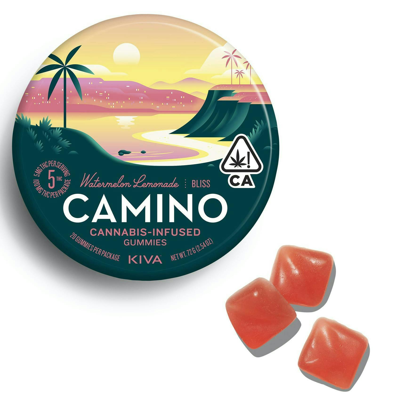 CAMINO — Watermelon Lemonade - Watermelon Lemonade