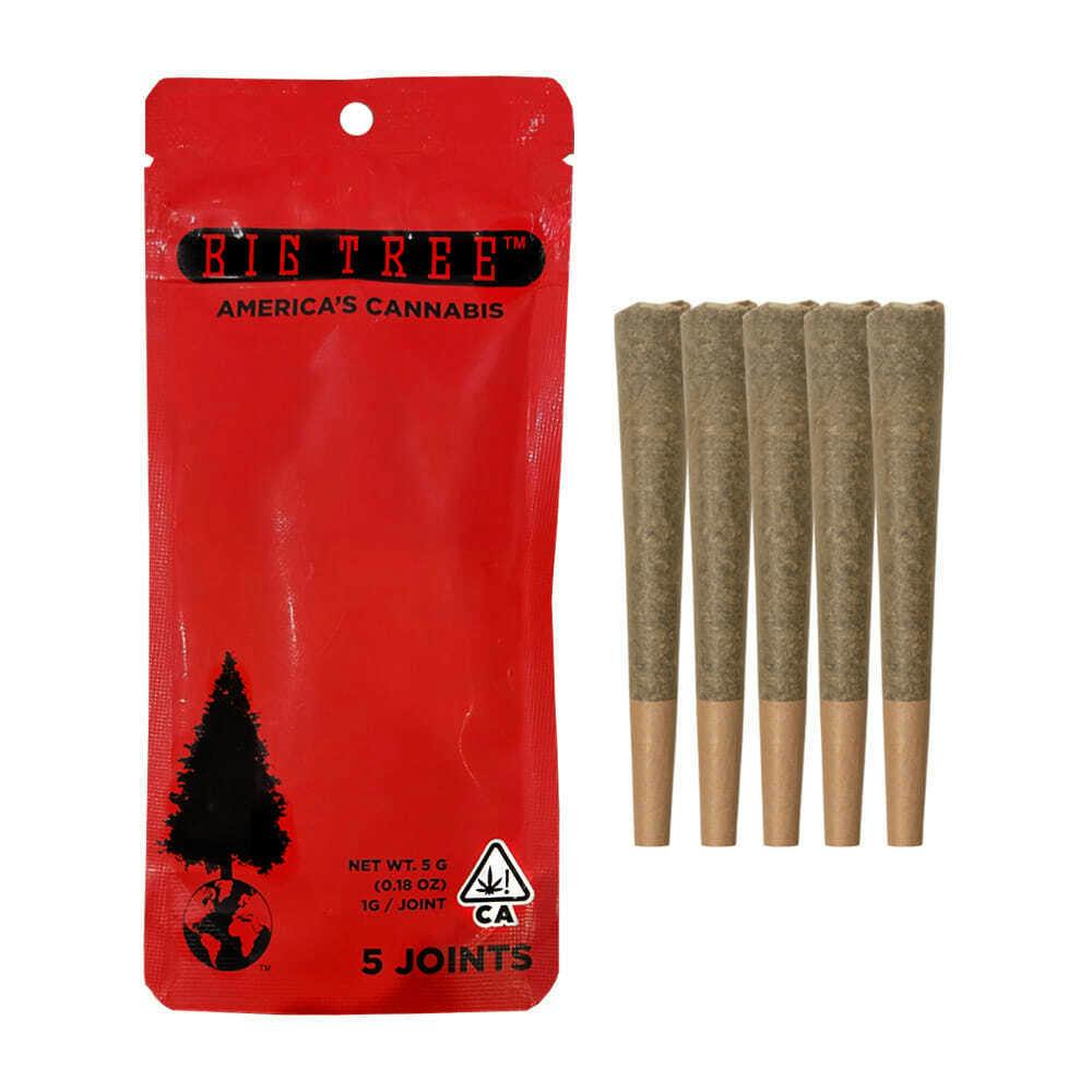 Mango Haze (S/H) - 5pk Pre Rolls *DAILY * - Mango Haze (S/H)