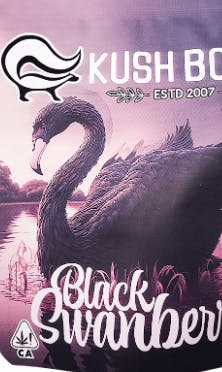 Kush Boys - Black Swanberry (S) 29.48% 7G - Quarter