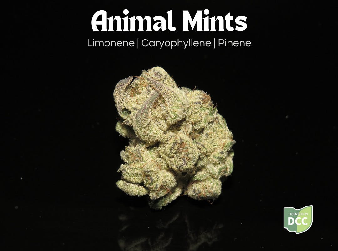 Animal Mints