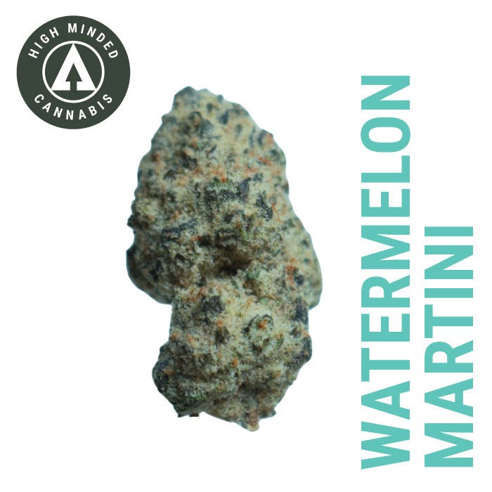 Watermelon Martini - Platinum Tier at Cloud Cannabis Gaylord Dispensary