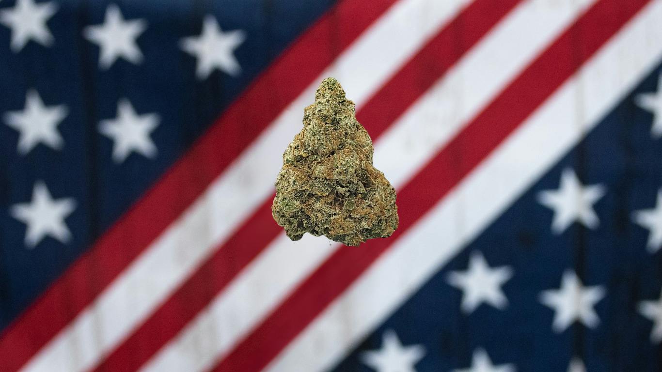 Pineapple Express - Gold Tier cannabis product