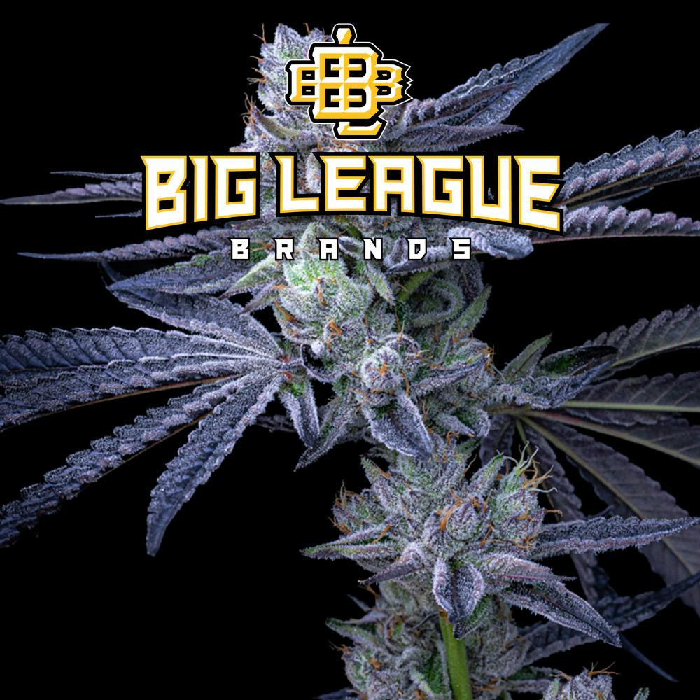 BowHouse | 28g Prepacked Flower | Michigan Cherries x Runtz cannabis product
