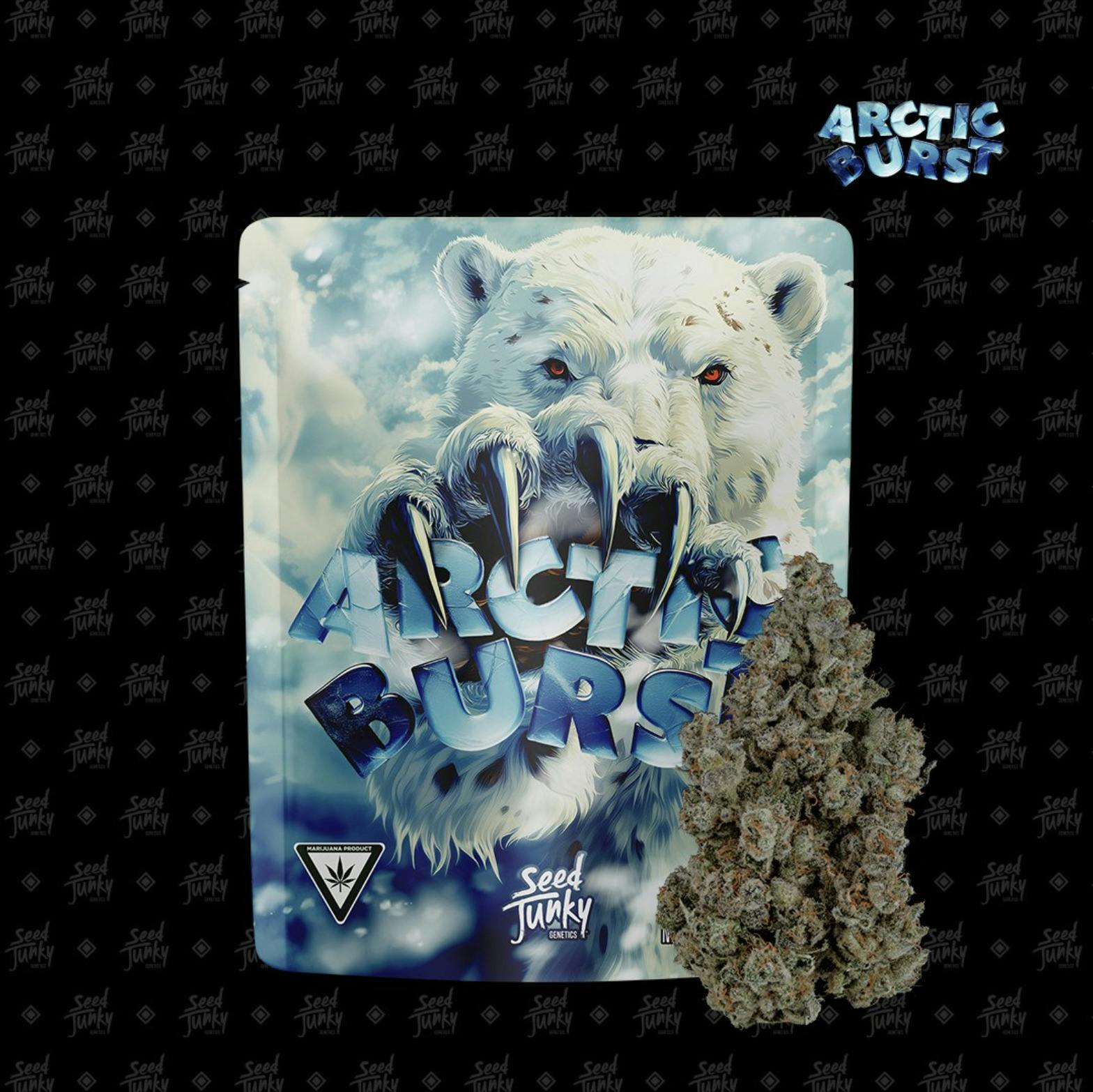 Seed Junky | 3.5g Prepacked Flower | Artic Burst cannabis product