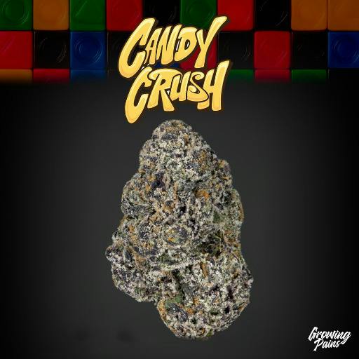 Growing Pains | Candy Crush