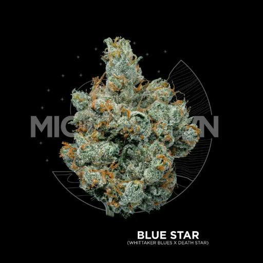 Michigrown | Blue Star