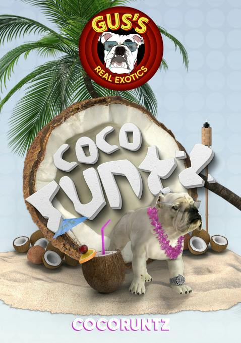 Gus's Real Exotics | Coco Runtz